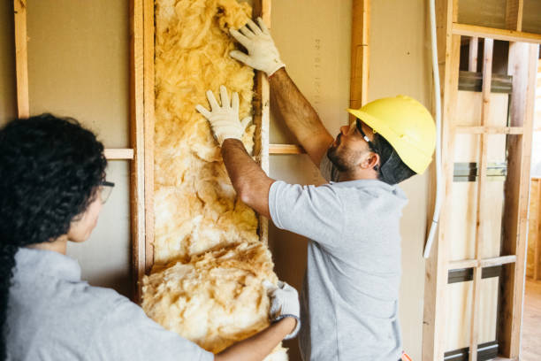 Best Crawl Space Insulation  in Saegertown, PA